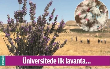 &Uuml;NİVERSİTEDE İLK LAVANTA&hellip;
