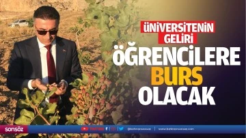 &Uuml;niversitenin geliri, &ouml;ğrencilere burs olacak