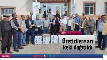 &Uuml;reticilere arı keki dağıtıldı