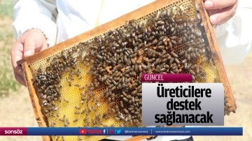 &Uuml;reticilere destek sağlanacak