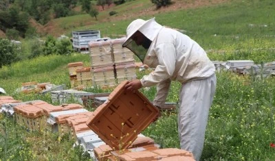 &Uuml;reticilere verilen destekler bal &uuml;retimini artırdı