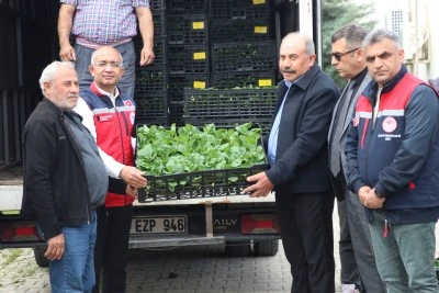 &Uuml;reticilere y&uuml;zde 75 hibe ile 60 bin sebze fidesi dağıtıldı