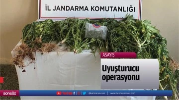 Uyuşturucu operasyonu