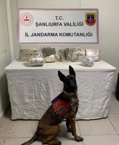 Uyuşturucu operasyonunda 1 ş&uuml;pheli yakalandı