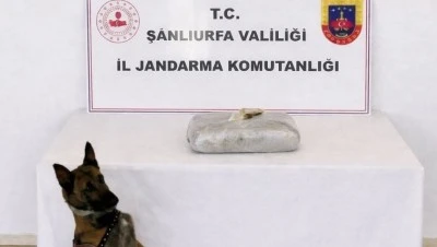 Uyuşturucu operasyonunda 1 ş&uuml;pheli yakalandı