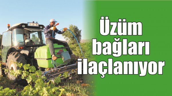 &Uuml;Z&Uuml;M BAĞLARI İLA&Ccedil;LANIYOR