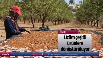 &Uuml;z&uuml;m &ccedil;eşitli &uuml;r&uuml;nlere d&ouml;n&uuml;şt&uuml;r&uuml;l&uuml;yor