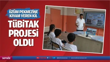 &Uuml;z&uuml;m pekmezine kıvam veren kil, T&Uuml;BİTAK projesi oldu