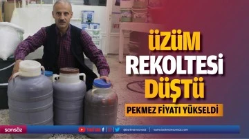 &Uuml;z&uuml;m rekoltesi d&uuml;şt&uuml;, pekmez fiyatı y&uuml;kseldi