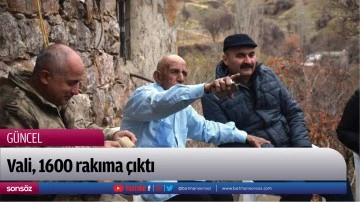 Vali, 1600 rakıma &ccedil;ıktı