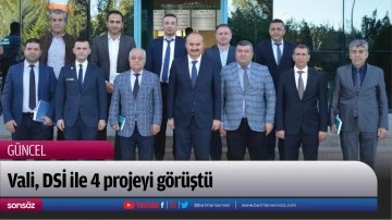 Vali, DSİ ile 4 projeyi g&ouml;r&uuml;şt&uuml;