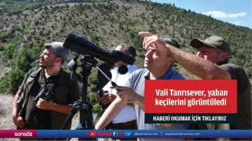  Vali Tanrısever, yaban  ke&ccedil;ilerini g&ouml;r&uuml;nt&uuml;ledi