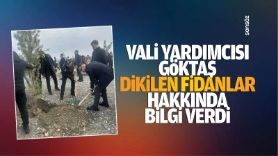 Vali Yardımcısı G&ouml;ktaş, dikilen fidanlar hakkında bilgi verdi