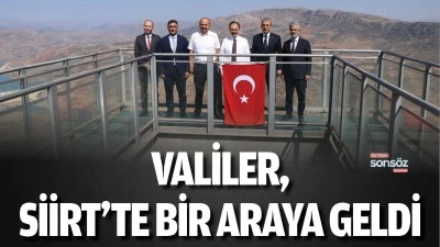 Valiler, Siirt&rsquo;te bir araya geldi