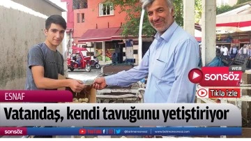 Vatandaş, kendi tavuğunu yetiştiriyor