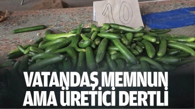 Vatandaş memnun ama &uuml;retici dertli