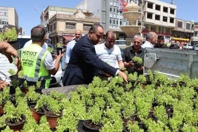 Vatandaşlara fesleğen ve reyhan dağıtıldı