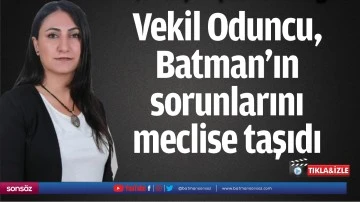 Vekil Oduncu, Batman&rsquo;ın sorunlarını meclise taşıdı