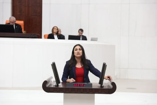 Vekil Oduncu, denet&ccedil;i giderlerini meclise taşıdı