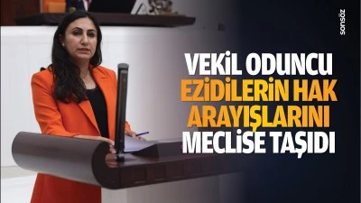 Vekil Oduncu, Ezidilerin hak arayışlarını meclise taşıdı