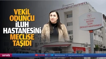 Vekil Oduncu, İluh Hastanesini meclise taşıdı