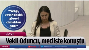 Vekil Oduncu, mecliste konuştu