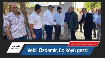 Vekil &Ouml;zdemir, &uuml;&ccedil; k&ouml;y&uuml; gezdi