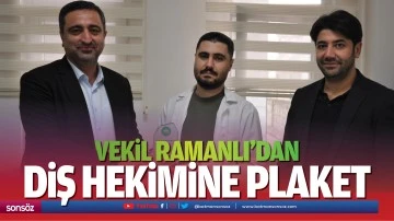 Vekil Ramanlı&rsquo;dan Diş Hekimine plaket