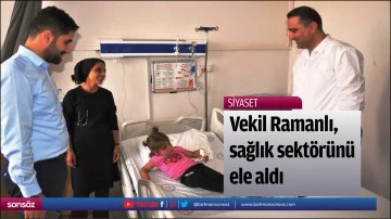 Vekil Ramanlı, sağlık sekt&ouml;r&uuml;n&uuml; ele aldı