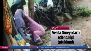 Vesile Nineyi darp eden şahıs tutuklandı