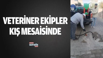 Veteriner ekipler kış mesaisinde