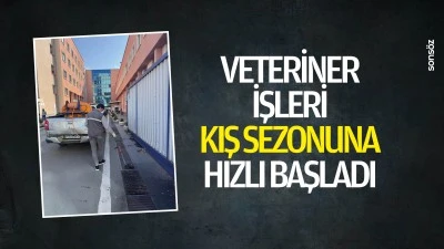 Veteriner işleri kış sezonuna hızlı başladı