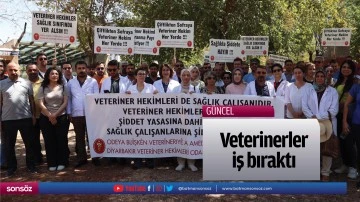 Veterinerler iş bıraktı