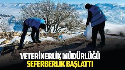Veterinerlik M&uuml;d&uuml;rl&uuml;ğ&uuml; seferberlik başlattı