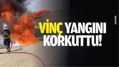 Vin&ccedil; yangını korkuttu!