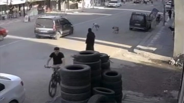 Viranşehir Caddesinde K&ouml;pek ve &Ccedil;ocuk Arasında Yaşanan Olay