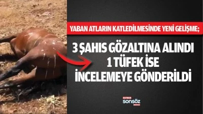 Yaban atların katledilmesinde yeni gelişme