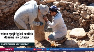 Yaban eşeği fig&uuml;r&uuml; neolitik d&ouml;neme ışık tutacak