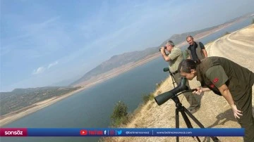 Yaban hayvanı envanter &ccedil;alışması yapıldı