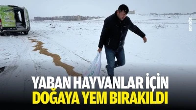 Yaban hayvanlar i&ccedil;in doğaya yem bırakıldı