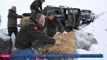 Yaban hayvanları i&ccedil;in doğaya yem bırakıldı