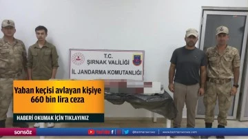 Yaban ke&ccedil;isi avlayan kişiye 660 bin lira ceza