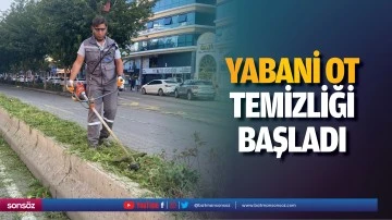 Yabani ot temizliği başladı