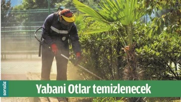 YABANİ OTLAR TEMİZLENECEK