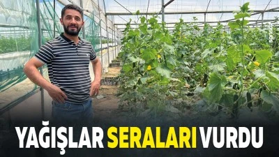 Yağışlar seraları vurdu