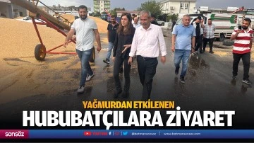 Yağmurdan etkilenen hububat&ccedil;ılara ziyaret