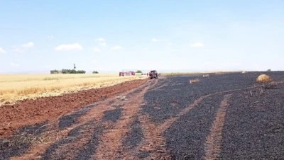 Yaklaşık 150 dekar buğday ekili alan yandı