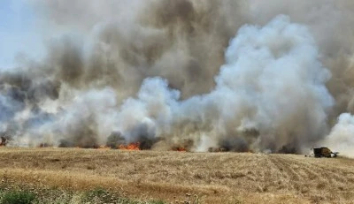 Yaklaşık 350 dekar buğday ekili alan yandı
