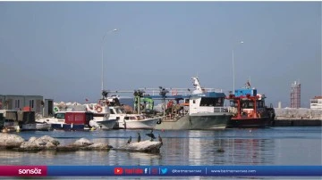 Yalovalı balık&ccedil;ılar bu yıl da hamsi ile kazan&ccedil; sağladı