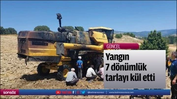 Yangın 7 d&ouml;n&uuml;ml&uuml;k tarlayı k&uuml;l etti